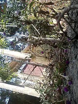 AssamSilchar93 online show from 02-07-26, 06:17