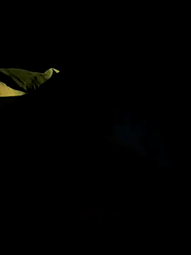 bigdickbandot online show from 11-18-25, 11:03