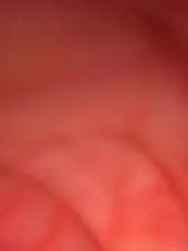 ambarlennoix online show from 10-09-25, 08:01