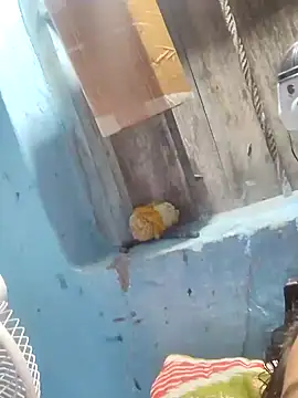 Snapshot of Natasha-In69 chatting on 01-31-25, 10:10 Natasha-In69 online show from 01-31-25, 10:10