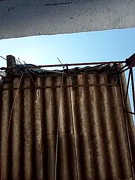 Percybr4561 online show from 10-25-25, 01:29