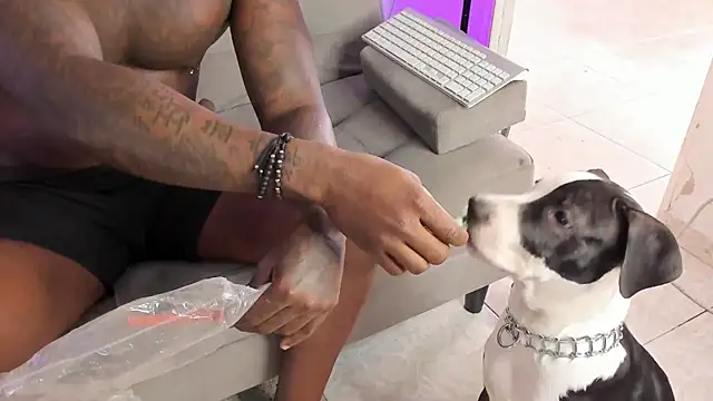 Dvid Rullers online show from 09-16-25, 12:50