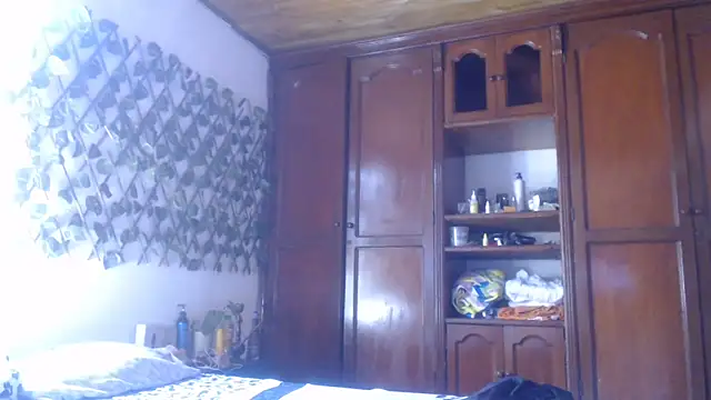 Snapshot of cougar_town chatting on 01-29-25, 04:52 cougar town online show from 01-29-25, 04:52