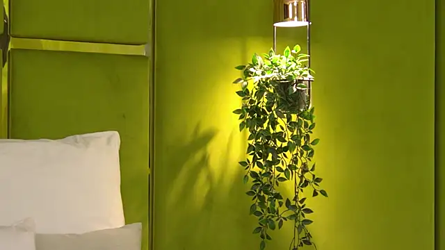 NattyDevon online show from 04-08-26, 05:29