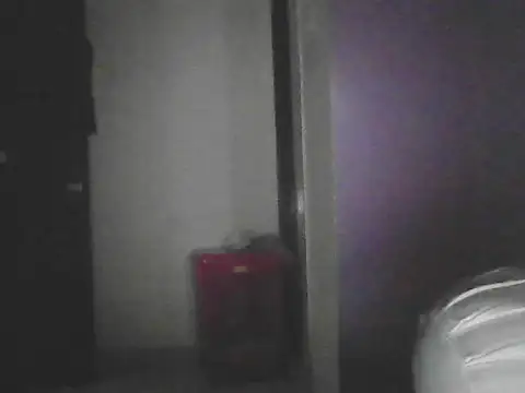 Snapshot of pushparajmodda chatting on 10-25-25, 03:36 pushparajmodda online show from 10-25-25, 03:36