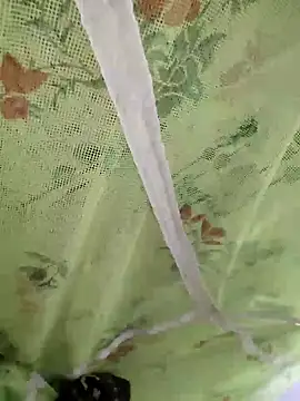 sids0 online show from 12-09-24, 06:14