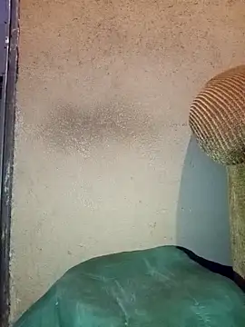 Thickcockzivyy online show from 02-20-26, 12:40