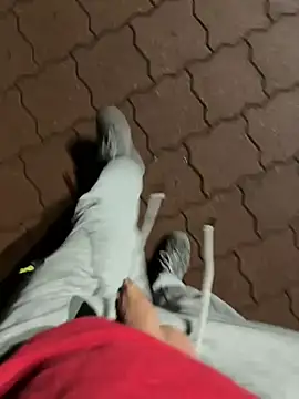 rundum40 online show from 01-24-25, 07:49