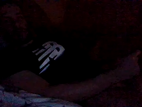 Snapshot of Vicktore007 chatting on 10-31-25, 05:25 Vicktore007 online show from 10-31-25, 05:25