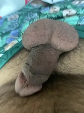 benben190 online show from 01-09-25, 03:34