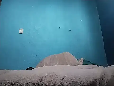 Snapshot of Vago745 chatting on 04-10-26, 08:24 Vago745 online show from 04-10-26, 08:24