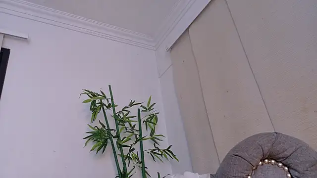 miranda villa online show from 12-19-25, 12:01