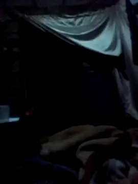 January256 online show from 03-02-26, 10:38