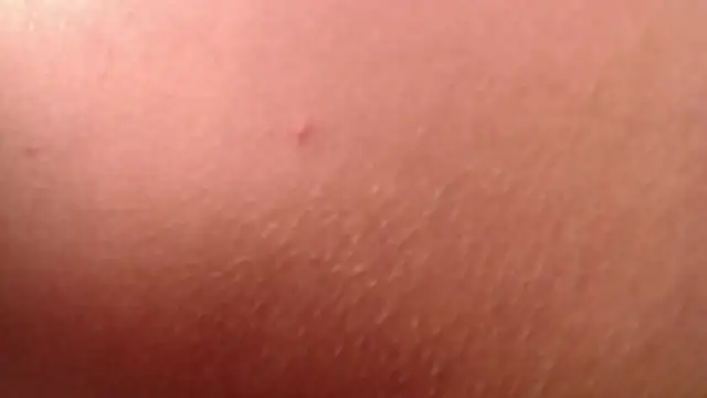 isabella jazz online show from 01-07-26, 04:20