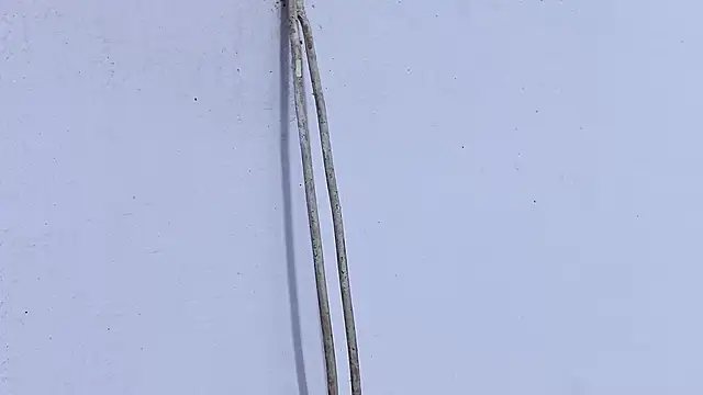 Habibi big b online show from 04-19-26, 05:23