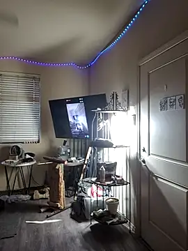 Snapshot of lit702 chatting on 02-04-26, 12:16 lit702 online show from 02-04-26, 12:16