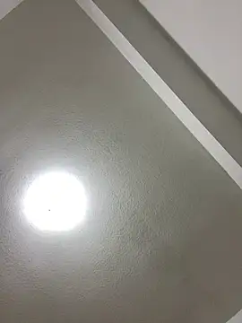 islandvybee55 online show from 01-03-25, 08:00