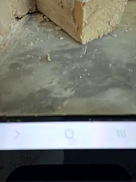 seloloko20 online show from 12-01-25, 08:08