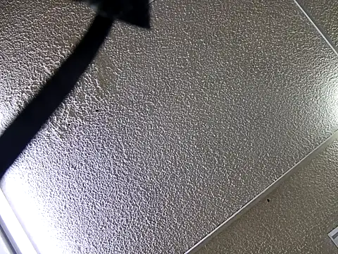 yajahil online show from 11-28-25, 07:38