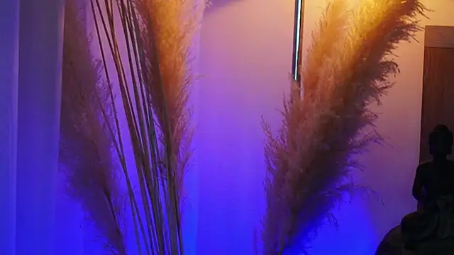 AliceShazaham  online show from 09-12-25, 07:08