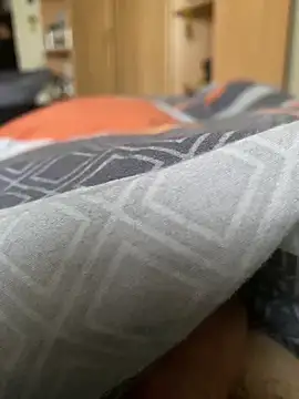 Snapshot of Gartengolem chatting on 12-24-24, 09:28 Gartengolem online show from 12-24-24, 09:28