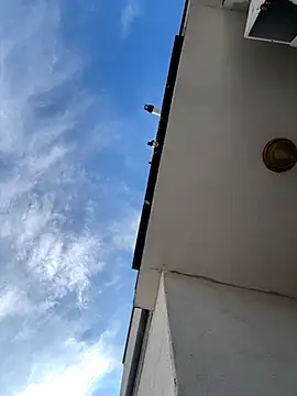 eddy355 online show from 11-09-25, 09:51