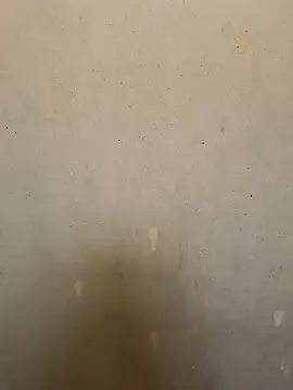 loveme99004 online show from 03-08-26, 04:16