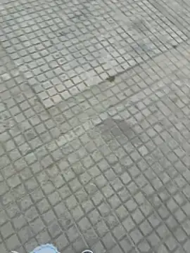 jovenestraviesos online show from 03-01-26, 05:26