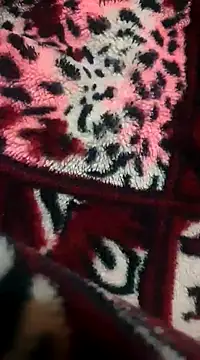 pinky801 online show from 12-30-24, 07:32