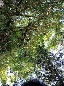 Snapshot of giselxxx_hot chatting on 03-12-25, 02:34 giselxxx hot online show from 03-12-25, 02:34