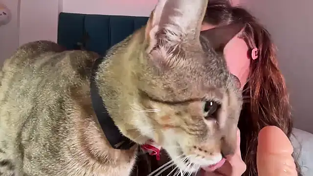 alice guerin  online show from 02-20-26, 06:26