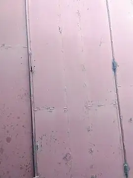 Polygamist online show from 12-16-25, 07:46