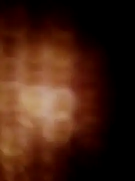 lavancaafiada online show from 04-24-26, 04:15