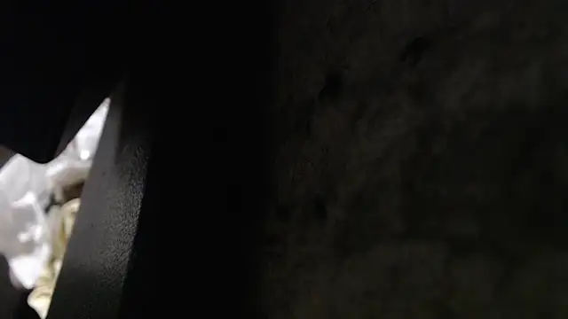 Hungry  Puppy online show from 11-08-25, 10:19