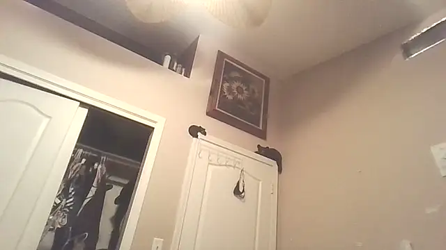 PompasPurpleriver online show from 04-22-26, 02:36