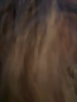 Lombada online show from 11-13-25, 04:17