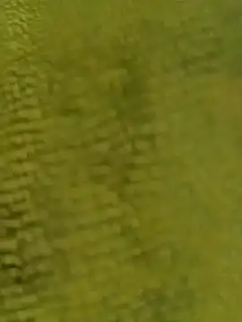 sadunt online show from 12-17-25, 09:26