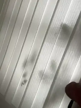 derFickerali online show from 01-23-25, 01:13