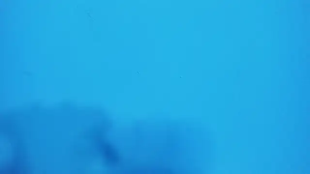  hairybeard  online show from 02-20-25, 09:22