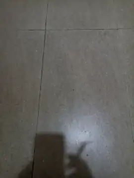 wildfox566 online show from 01-18-26, 03:10