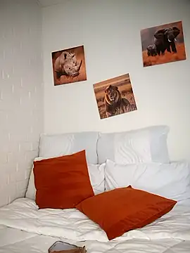 Snapshot of Shria107 chatting on 01-08-26, 11:45 Shria107 online show from 01-08-26, 11:45