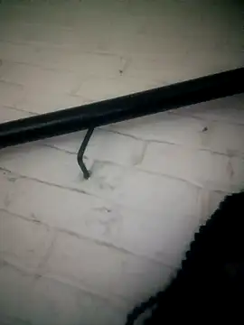 Snapshot of Shria107 chatting on 02-20-26, 11:49 Shria107 online show from 02-20-26, 11:49