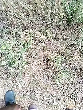 Mrveda66 online show from 02-23-26, 06:11