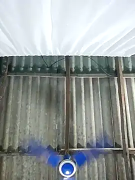 Snapshot of hotbaby_5 chatting on 11-01-25, 12:34 hotbaby 5 online show from 11-01-25, 12:34