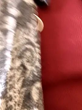 Ananya 34 online show from 12-03-25, 03:14