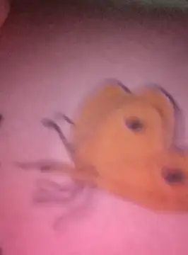 Snapshot of Nadia-2 chatting on 01-24-25, 12:20 Nadia-2 online show from 01-24-25, 12:20