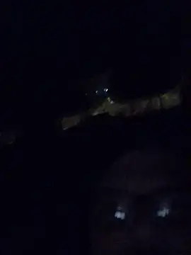 Watson4U online show from 12-13-24, 06:27