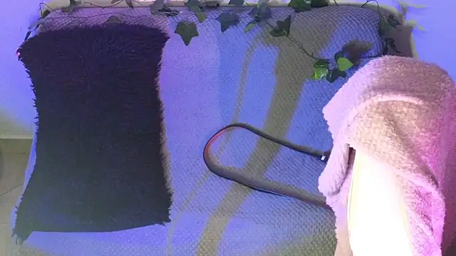 Alahia7demon online show from 02-09-26, 02:04