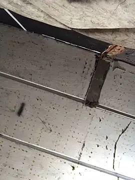 macg96 online show from 12-17-24, 08:34