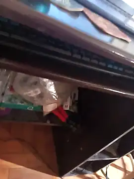 lobomisterioso13 online show from 04-08-26, 02:17